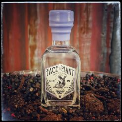 GIN N°1 10CL 43%