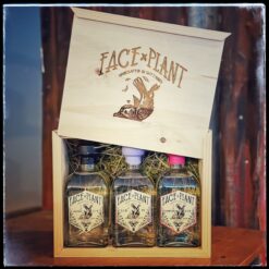 GIN BOX 3 0,5L