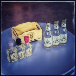 GIN DEGUSTATIONS HARASSLI – Bild 3